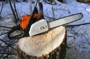 Chainsaw on a stump Chainsaw on a stump